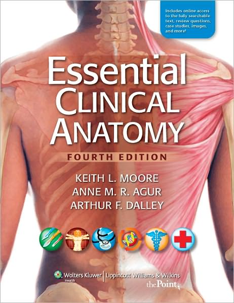 Essential Clinical Anatomy 4th edition Keith L. Moore Test bank