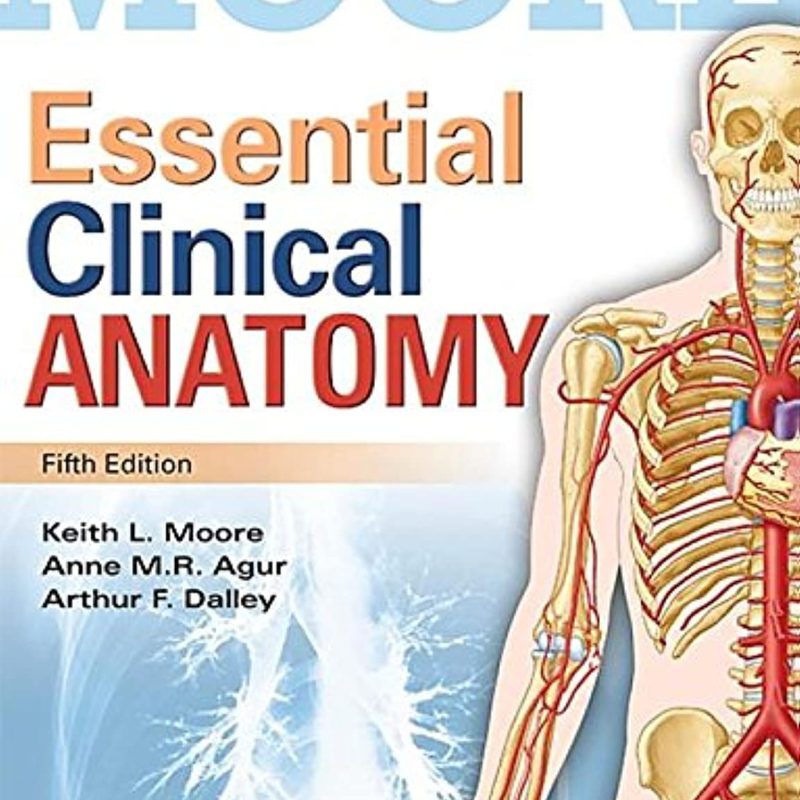 Essential Clinical Anatomy 5th Edition Keith L. Moore Test bank