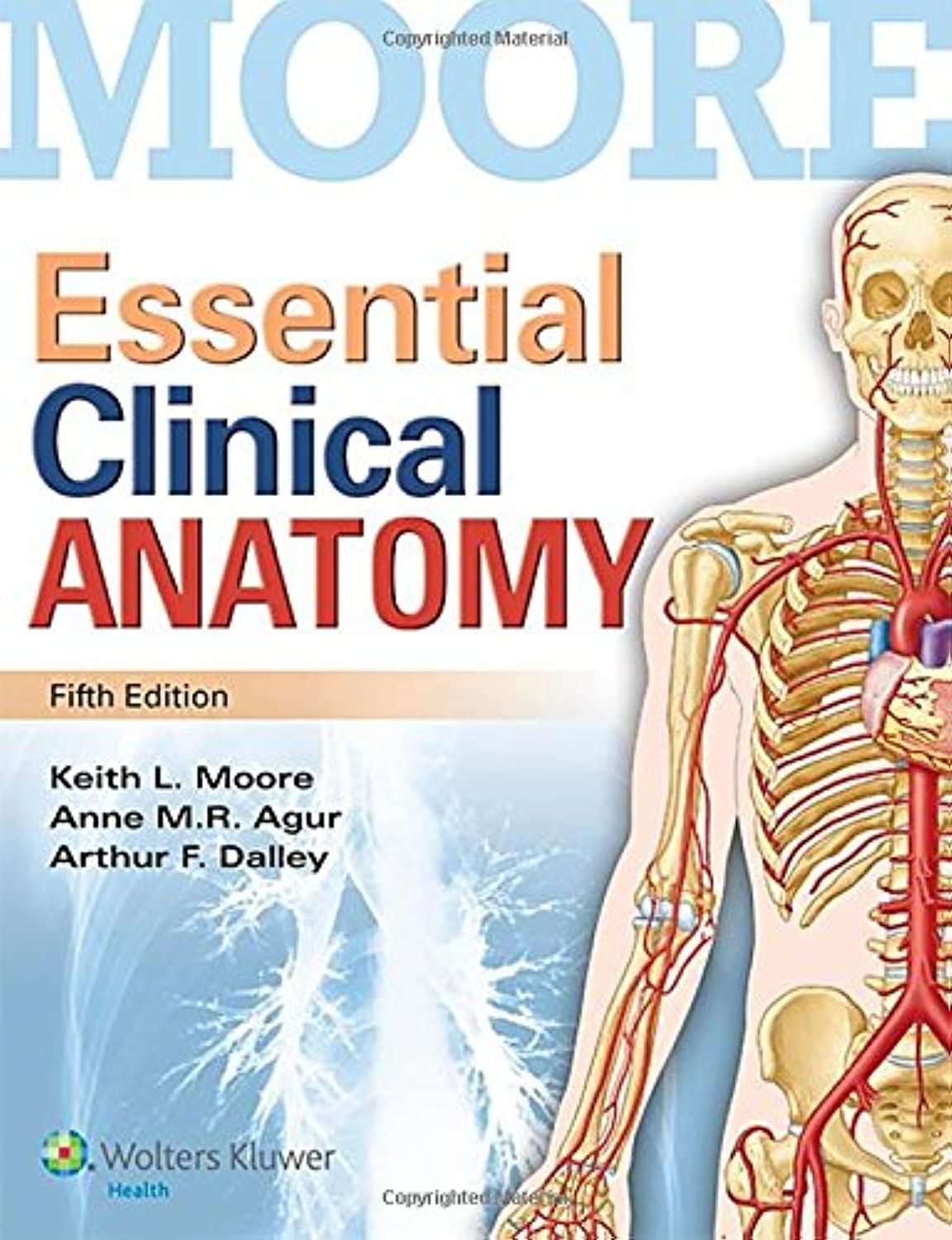 Essential Clinical Anatomy 5th Edition Keith L. Moore Test bank