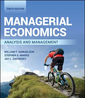 Managerial Economics 10th Edition Test Bank Cover