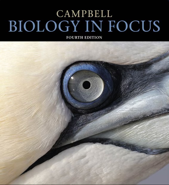 Cover of Campbell Biology in Focus Test Bank 4th Edition by Lisa A. Urry