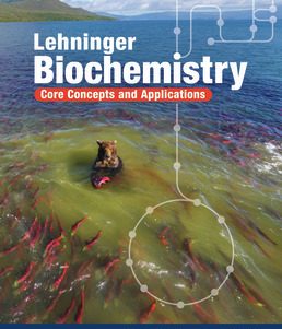 Lehninger Biochemistry Core Concepts and Applications Test Bank Cox 1st Edition 2025