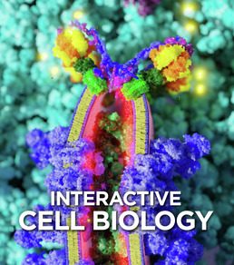 Interactive Cell Biology Test Bank Smart Biology 1st Edition 2026