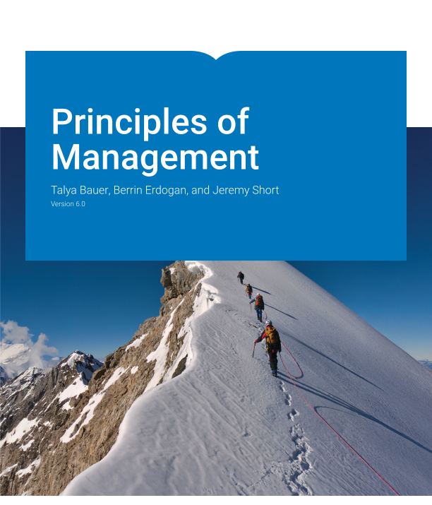 Principles of Management Test Bank Version 6.0 by Talya Bauer